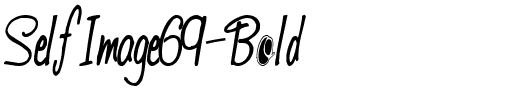 SelfImage69 Bold.ttf