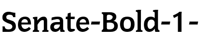 Senate Bold.ttf