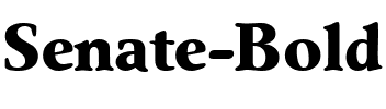 Senate Bold.ttf