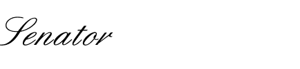 Senator Regular.ttf