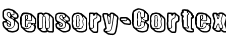 Sensory Cortex Normal.ttf