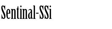 Sentinal SSi Regular.ttf