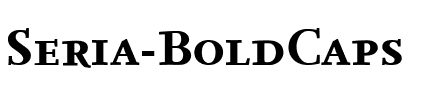Seria-BoldCaps Regular.ttf