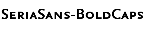 SeriaSans-BoldCaps Regular.ttf