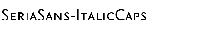 SeriaSans-ItalicCaps Regular.ttf
