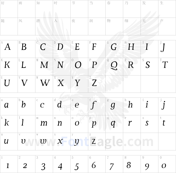 Servus-Text-Display-Italic-display