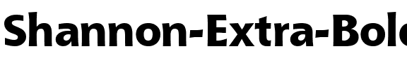 Shannon Extra Bold Regular.ttf