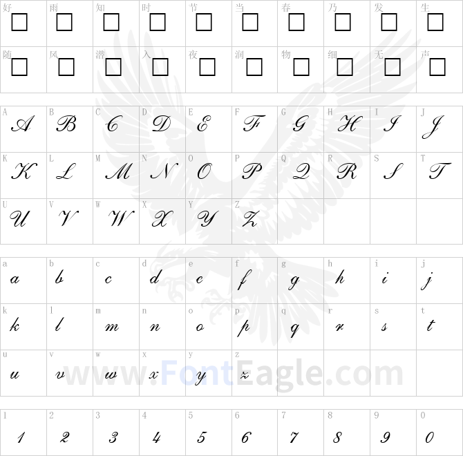 Sheer-Beauty-Regular