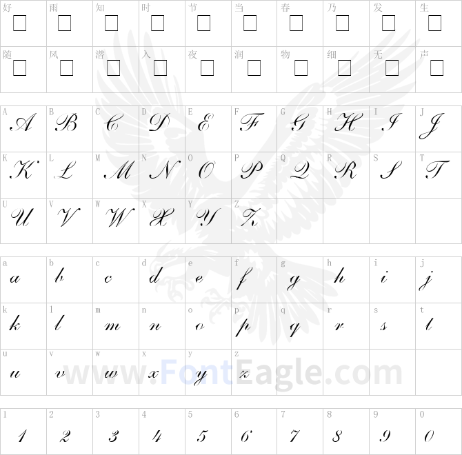 Shelley-Andante-Script