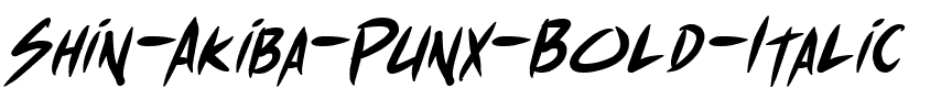 Shin Akiba Punx Gras Italique.ttf