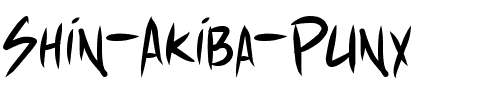 Shin Akiba Punx Normal.ttf