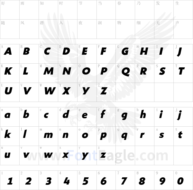 ShinnExtraBoldItalic