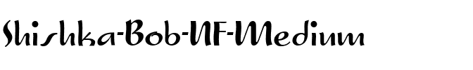 Shishka Bob NF Medium.ttf
