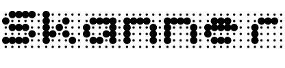 Skannerz Bold Regular.ttf