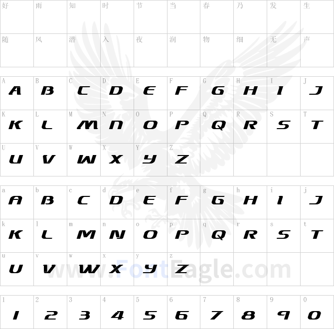 Sky-Marshal-Bold-Italic