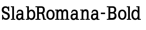 SlabRomana Bold.ttf