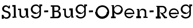 Slug Bug Slug Bug Open Regular.ttf