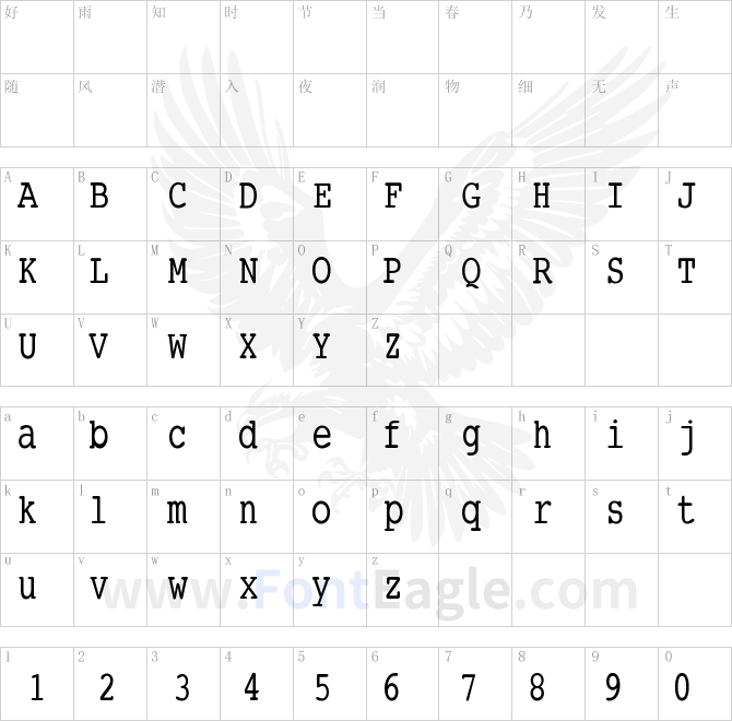 SmallTypeWriting-Medium
