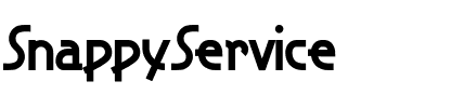 SnappyService Regular.ttf