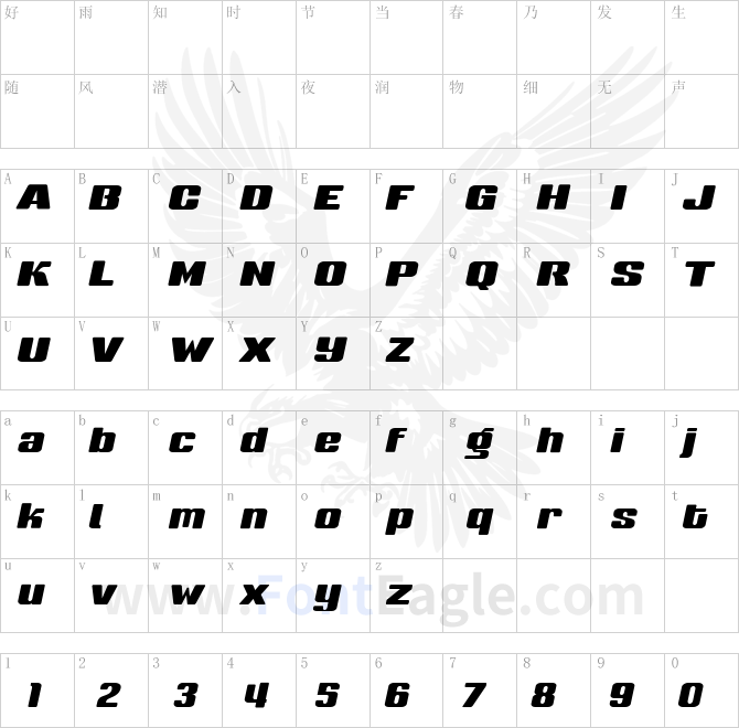 SneakersMedium-Italic