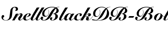 SnellBlackDB Bold.ttf