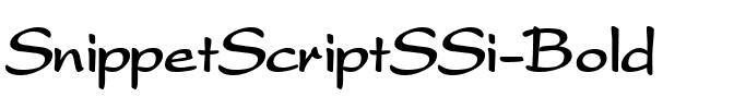 SnippetScriptSSi Bold.ttf