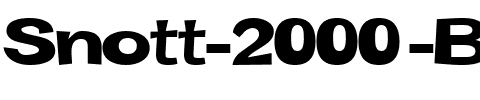 Snott 2000      Bold.ttf