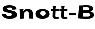 Snott Bold.ttf