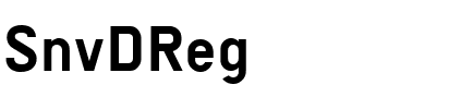 SnvDReg Regular.ttf