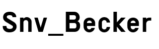 Snv Becker Regular.ttf