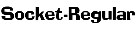 Socket Regular.ttf