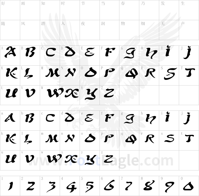 SolomonExtended-Italic