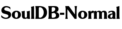 SoulDB Normal.ttf