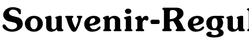 Souvenir Regular.ttf