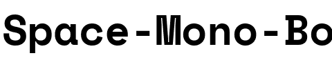 Space Mono Bold.ttf