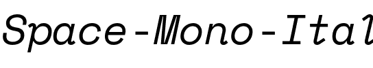 Space Mono Italic.ttf