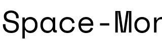 Space Mono Regular.ttf