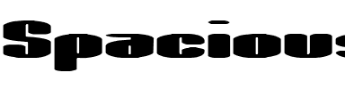 Spacious BRK Regular.ttf