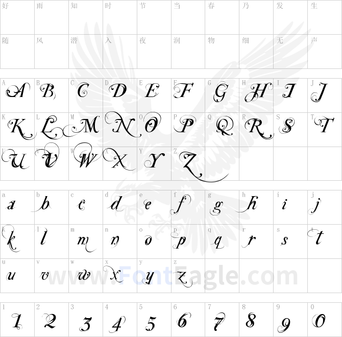 Special-TypeRegular