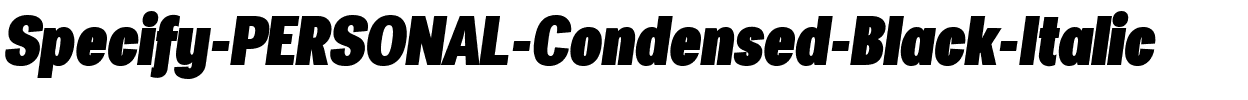 Specify PERSONAL Condensed Black Italic.ttf