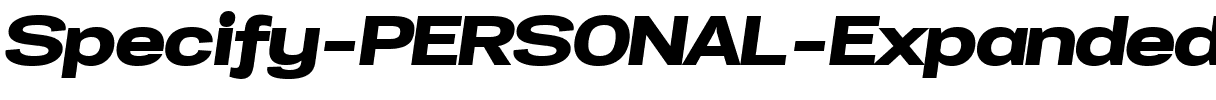 Specify PERSONAL Expanded Black Italic.ttf