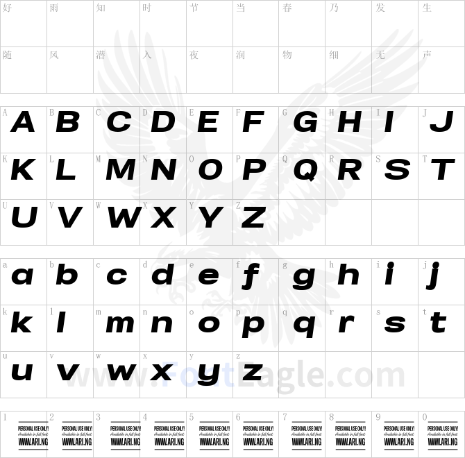 Specify-PERSONAL-Expanded-Black-Italic