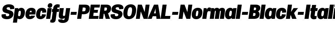 Specify PERSONAL Normal Black Italic.ttf