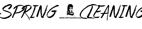 Spring Cleaning Normal.ttf