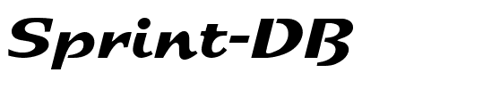 Sprint DB Medium.ttf