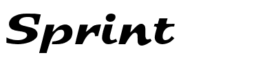 Sprint Regular.ttf