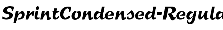 SprintCondensed Regular.ttf