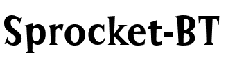 Sprocket BT Regular.ttf