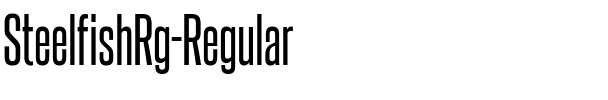 Steelfish Rg Regular.ttf