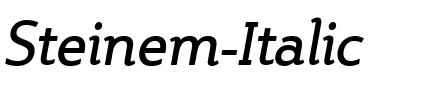 Steinem RomanItalic.ttf